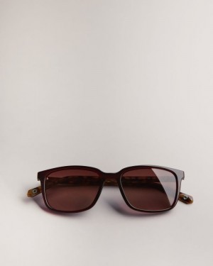 Dark Red Ted Baker Farlei Classic Tortoiseshell Frame Sunglasses Sunglasses | QMVLRIW-32