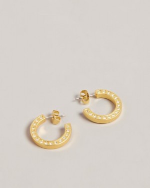 Gold Colour Ted Baker Senatta Crystal Hoop Earrings Jewellery | RSGVKLJ-64