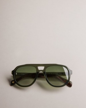 Green Ted Baker Romaan Classic Framed Sunglasses Sunglasses | NRCLIAF-86