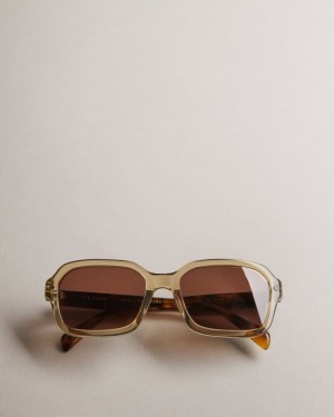 Light Grey Ted Baker Wyattee Rectangle Tortoiseshell Arm Sunglasses Sunglasses | IJAUFRH-03