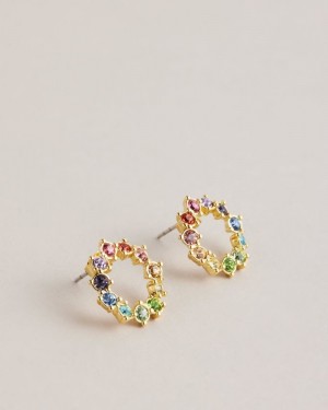 Multicoloured Ted Baker Cresina Crystal Hoop Stud Earrings Jewellery | DSTPLZN-75