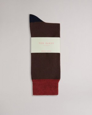 Orange Ted Baker Tedtext Semi Plain Socks Socks | BUKFZOD-74