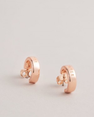 Rose Gold Colour Ted Baker Helanna Small Hoop Earrings Jewellery | XGJTMCI-97