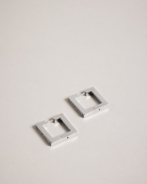 Silver Colour Ted Baker Saadiey Large Square Hinge Earrings Jewellery | XNFYGAD-20