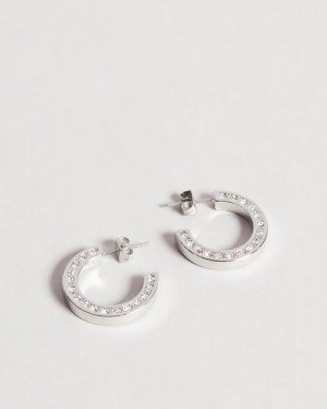 Silver Colour Ted Baker Senatta Crystal Hoop Earrings Jewellery | ABZUFVW-80