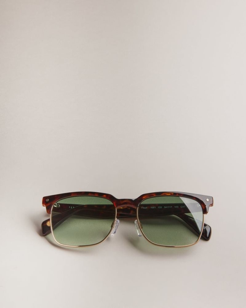 Dark Brown Ted Baker Ffloyd Tortoiseshell Clubmaster Sunglasses Sunglasses | UFNEOIK-79