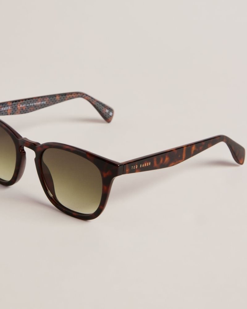 Dark Brown Ted Baker Ottiis Classic Framed Sunglasses Sunglasses | RHWQCUT-05
