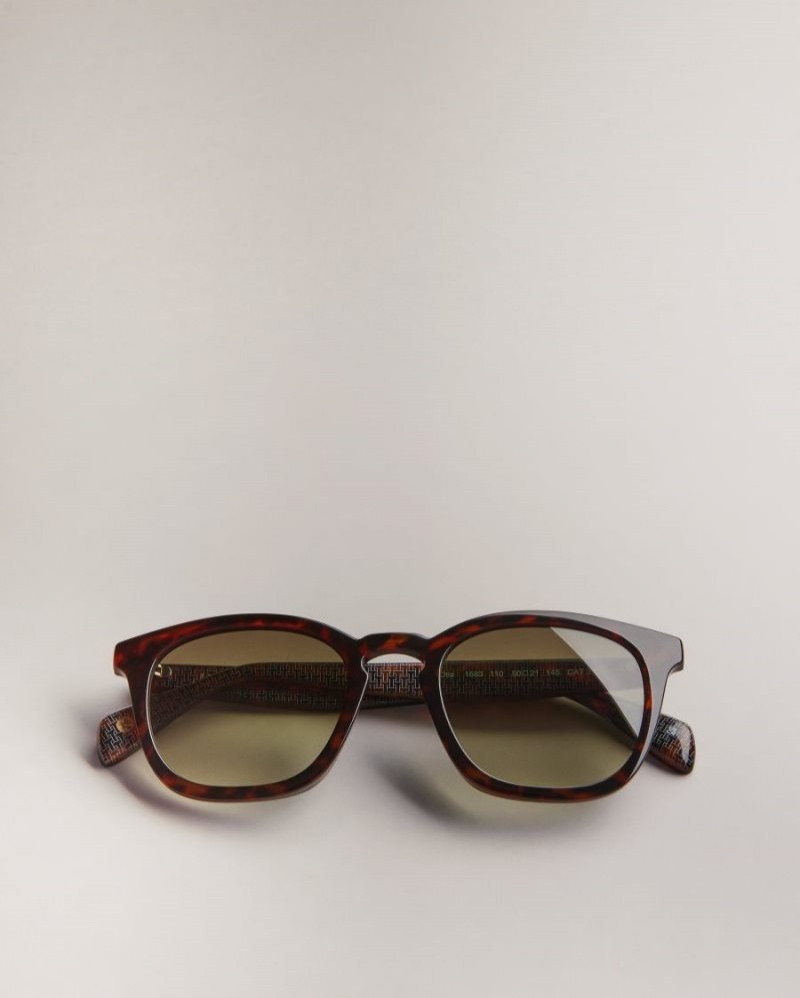 Dark Brown Ted Baker Ottiis Classic Framed Sunglasses Sunglasses | RHWQCUT-05