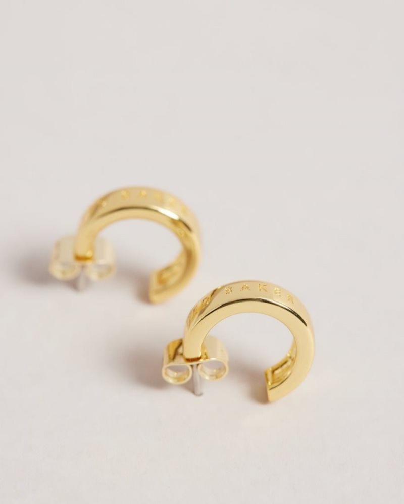 Gold Colour Ted Baker Helanna Small Hoop Earrings Jewellery | WYNTLKR-17