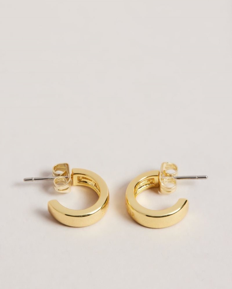 Gold Colour Ted Baker Helanna Small Hoop Earrings Jewellery | WYNTLKR-17