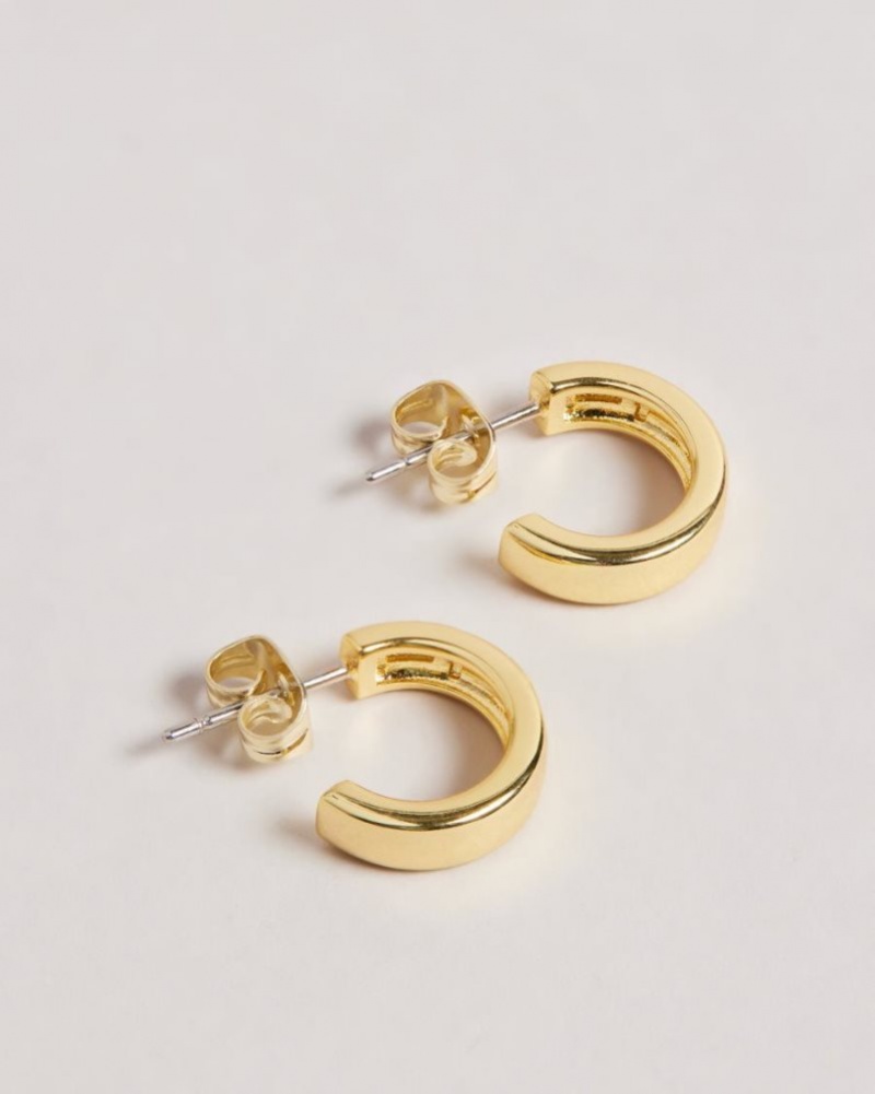 Gold Colour Ted Baker Helanna Small Hoop Earrings Jewellery | WYNTLKR-17