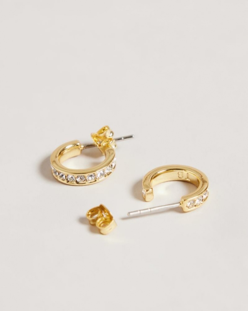Gold Colour Ted Baker Seenita Nano Hoop Huggie Earrings Jewellery | ZELGTYK-31