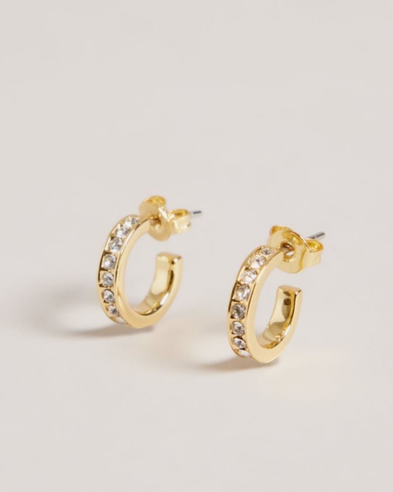 Gold Colour Ted Baker Seenita Nano Hoop Huggie Earrings Jewellery | ZELGTYK-31