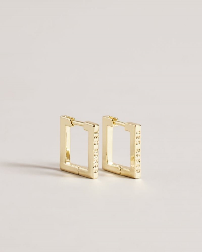 Gold Colour Ted Baker Senrii Small Square Hinge Earrings Jewellery | PGWKFQM-23