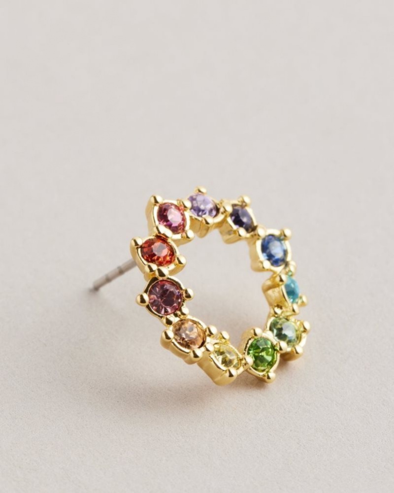Multicoloured Ted Baker Cresina Crystal Hoop Stud Earrings Jewellery | DSTPLZN-75