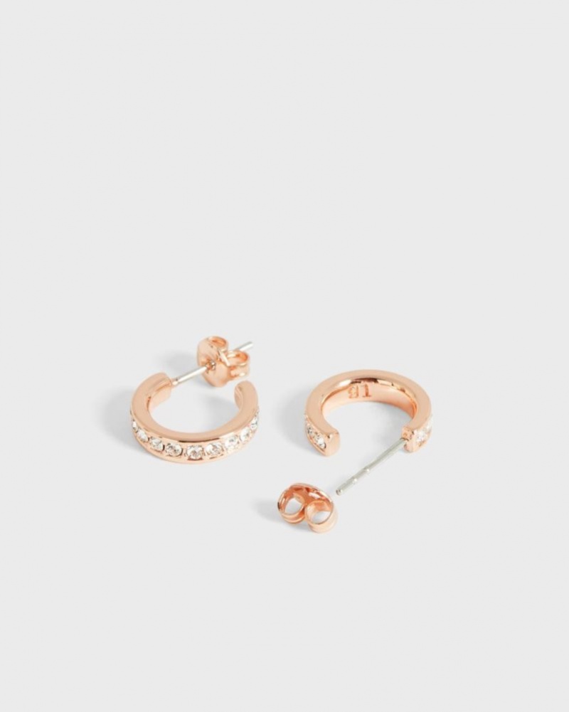 Rose Gold Colour Ted Baker Seenita Nano Hoop Huggie Earrings Jewellery | LYIFBXN-85