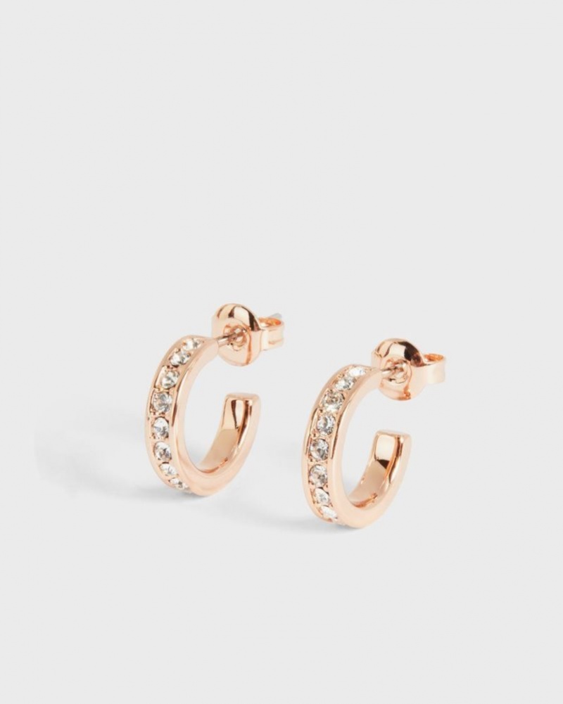 Rose Gold Colour Ted Baker Seenita Nano Hoop Huggie Earrings Jewellery | LYIFBXN-85