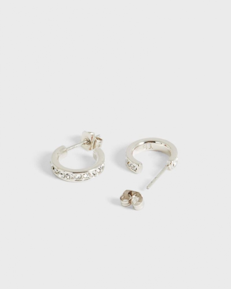 Silver Colour Ted Baker Seenita Nano Hoop Huggie Earrings Jewellery | LXRDNUC-36