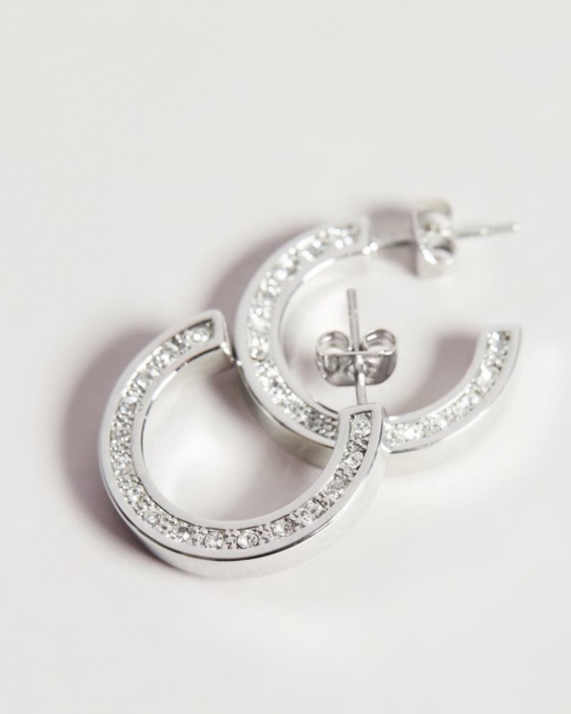 Silver Colour Ted Baker Senatta Crystal Hoop Earrings Jewellery | ABZUFVW-80